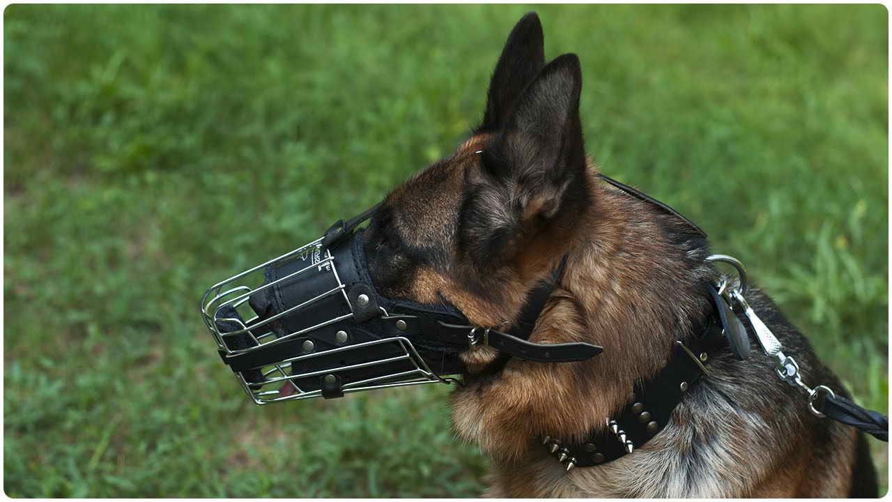 dog muzzle for biting for german shepard