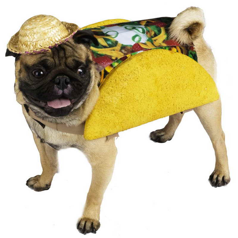 Dog Pug Costume