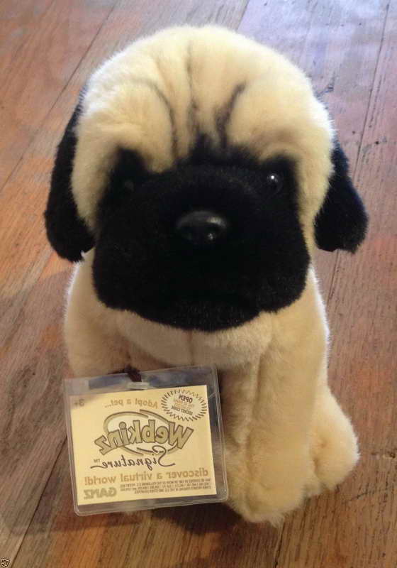 Ebay Pug Puppies For Sale