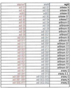 English Mastiff Feeding Chart