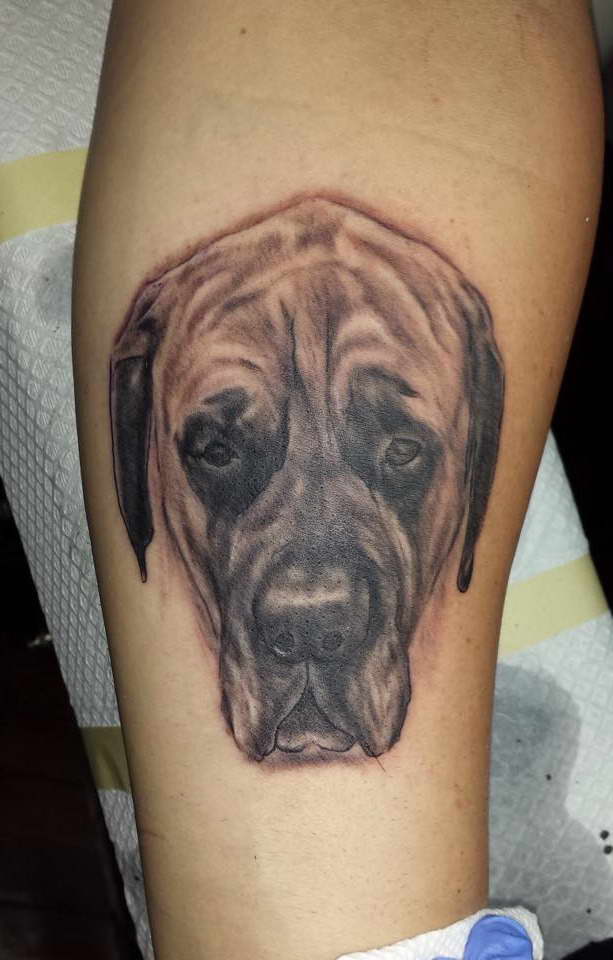 English Mastiff Tattoos