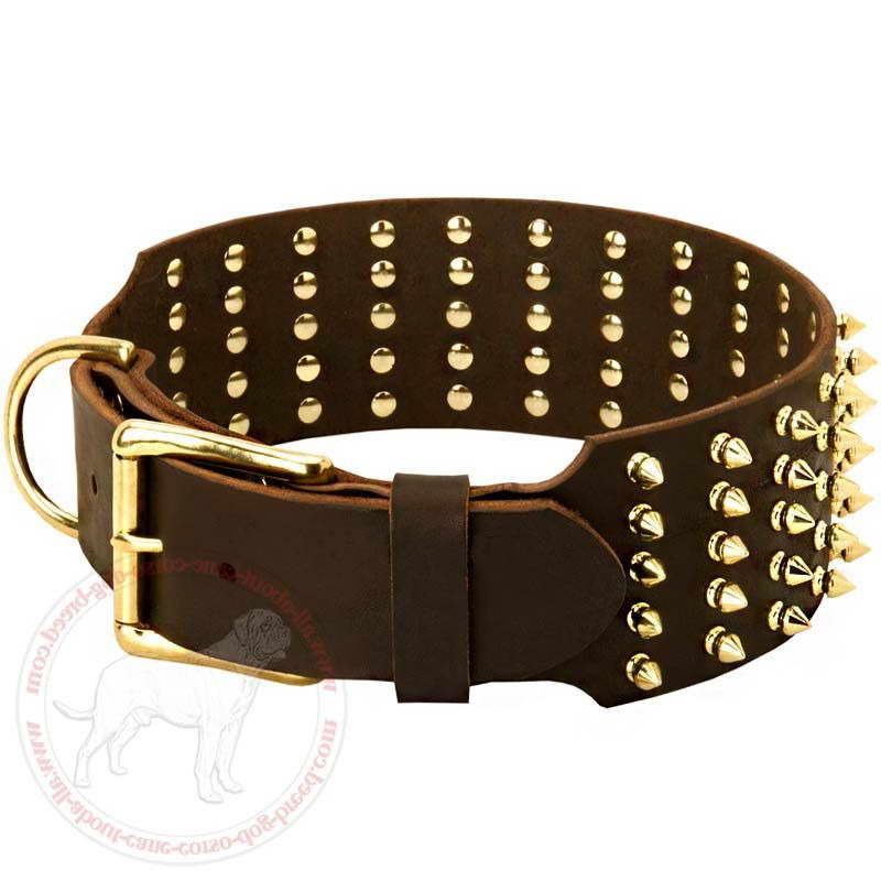 Extra Large Dog Collar Mastiff