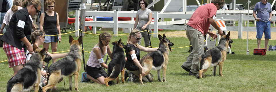 German Shepherd Club Mn