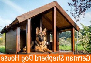 German Shepherd Dog House