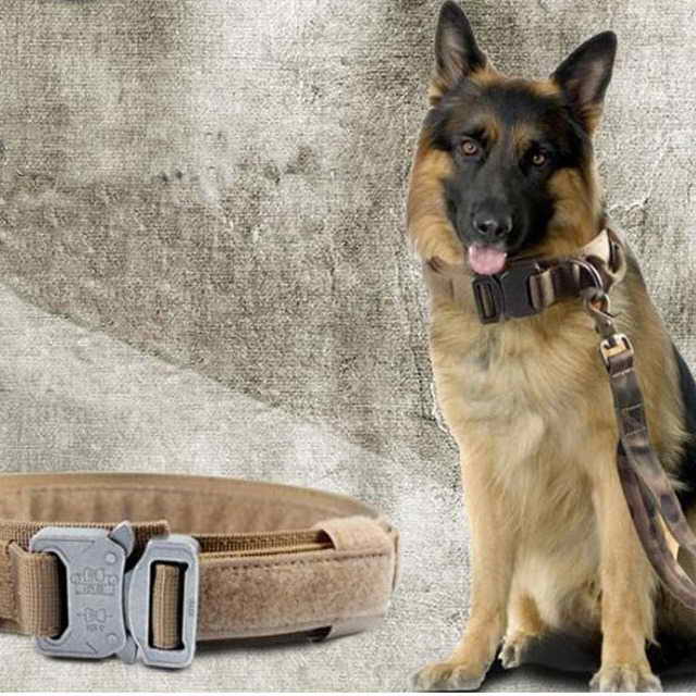 German Shepherd Dog Supplies