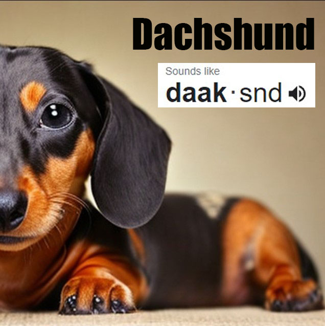 dachshund pronunciation
