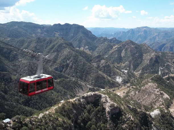 Copper Canyon Chihuahua