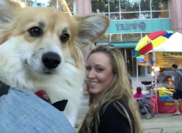 Corgi Backpack