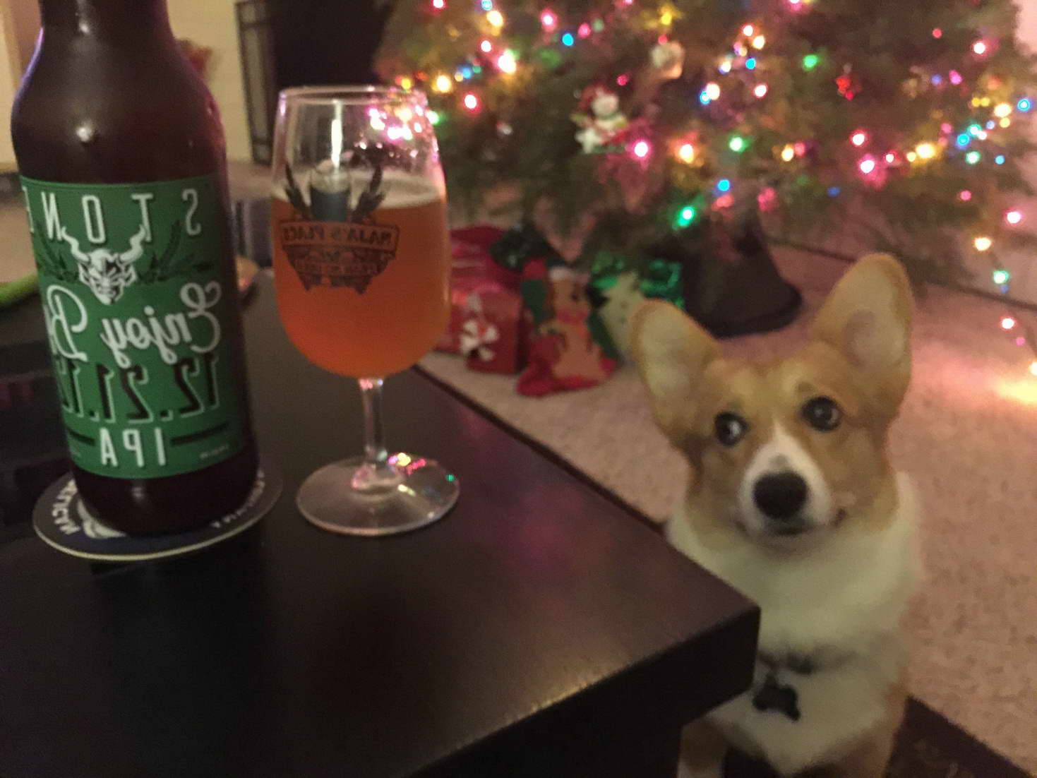 Corgi Beer