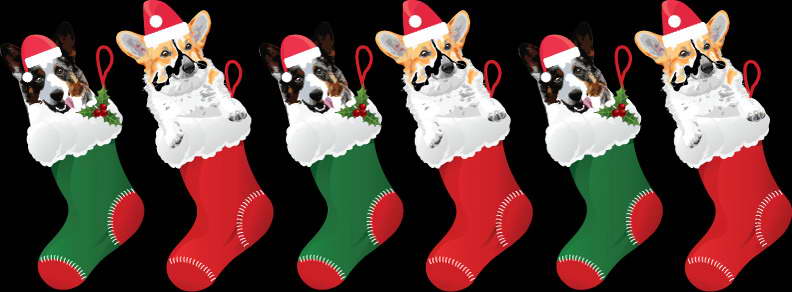 Corgi Christmas Stocking