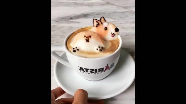 Corgi Coffee