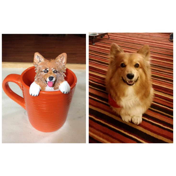 Corgi Items For Sale