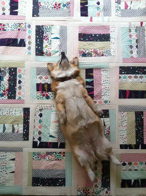 Corgi Quilt