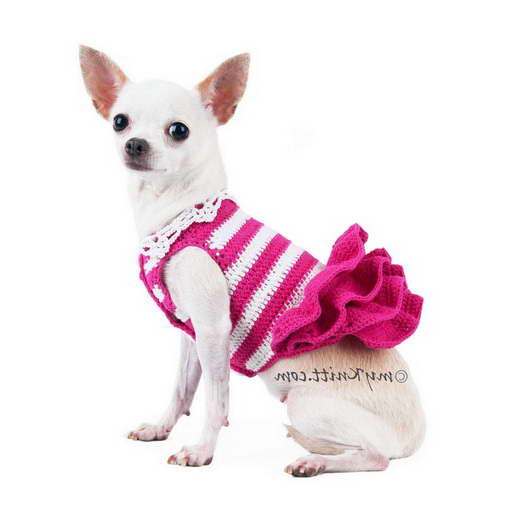 Cute Chihuahua Clothes
