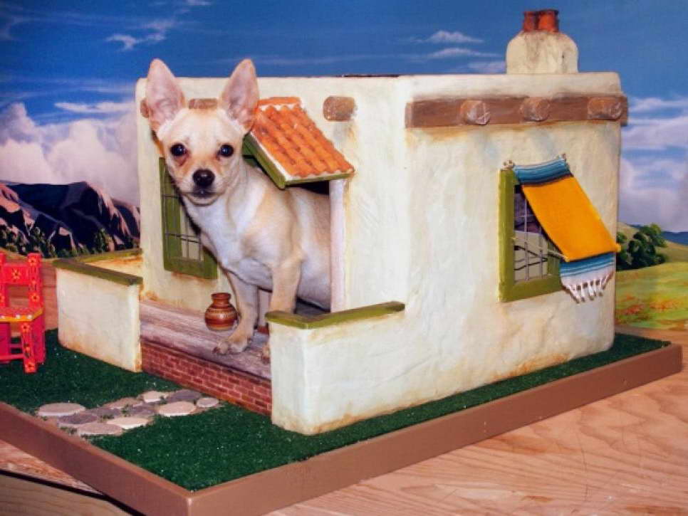 Dog House For Chihuahua