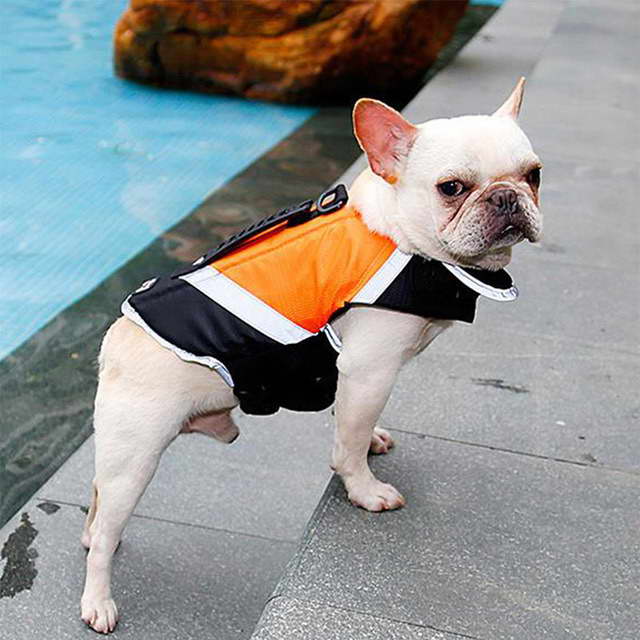 Dog Life Jacket Chihuahua