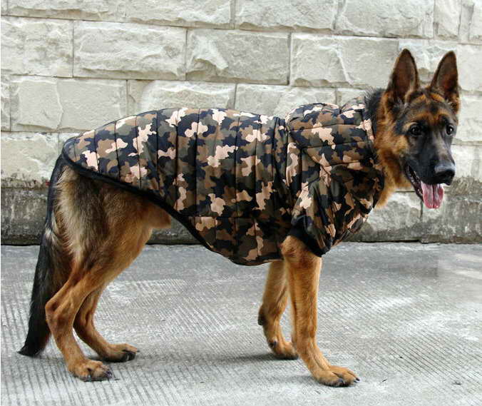 German Shepherd Jacket