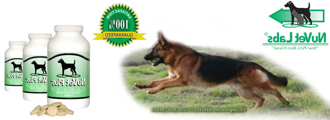 German Shepherd Joint Supplement