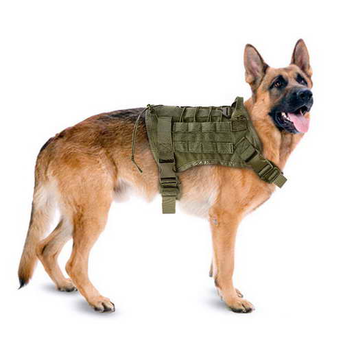 German Shepherd Military Harness