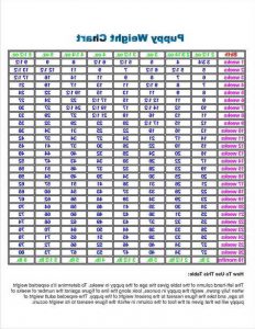 German Shepherd Puppy Size Chart