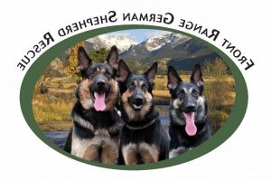 German Shepherd Rescue Denver