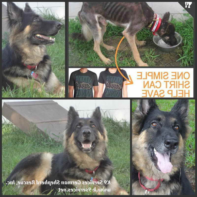 German Shepherd Rescue Inc