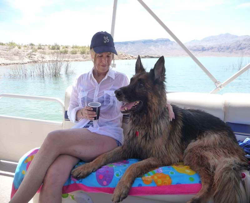 German Shepherd Rescue Las Vegas