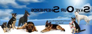 German Shepherd Rescue Tennessee