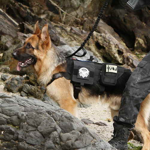 German Shepherd Tactical Vest