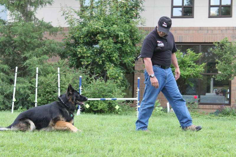 German Shepherd Training Seattle