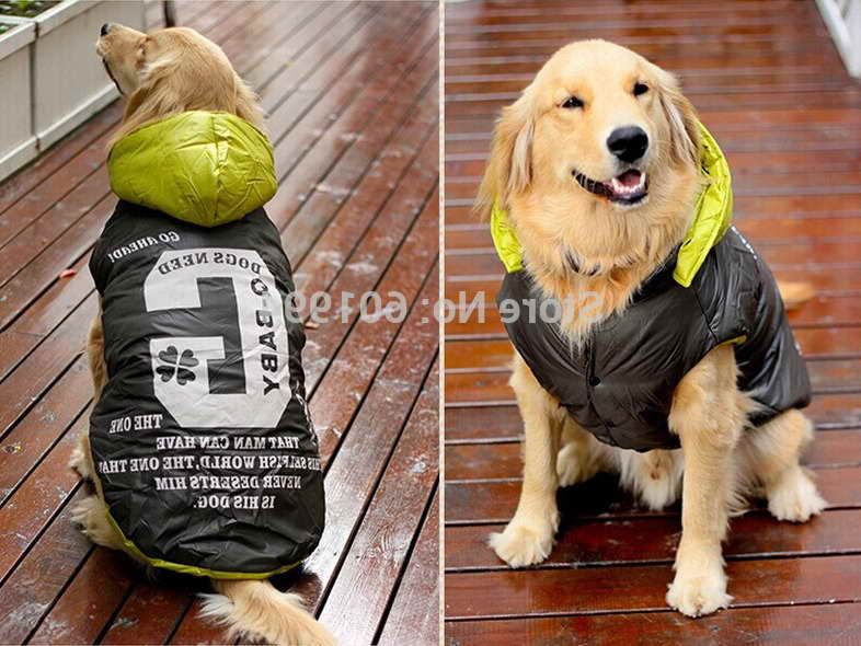 Golden Retriever Apparel