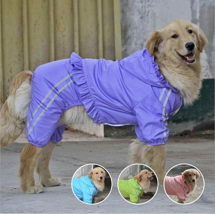 Golden Retriever Clothes