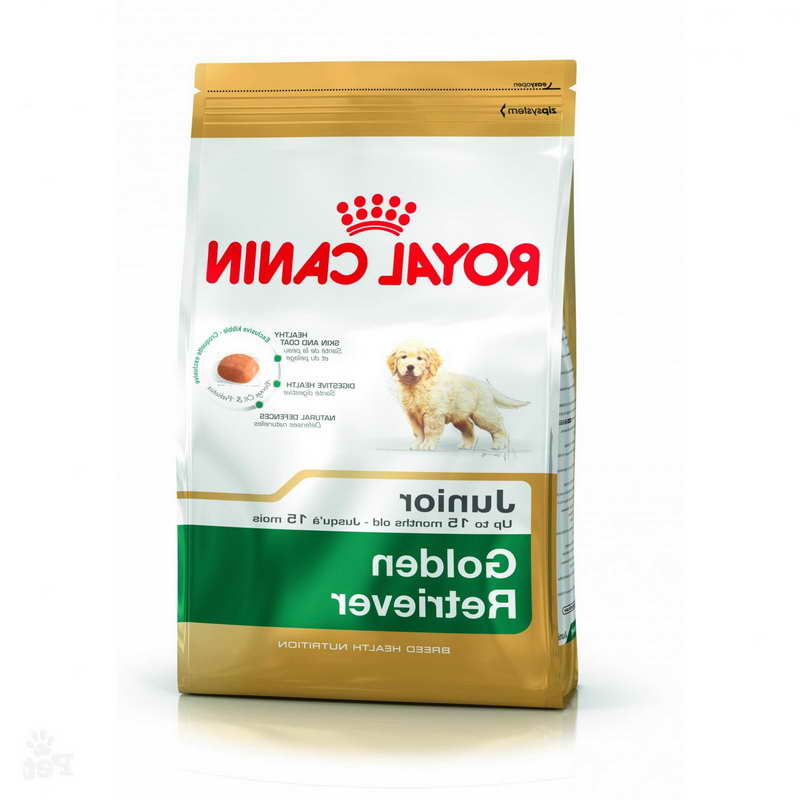 Golden Retriever Dog Food PETSIDI