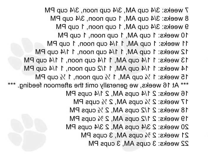 Golden Retriever Puppy Feeding Chart PETSIDI