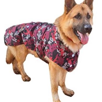 German Shepherd Winter Coat