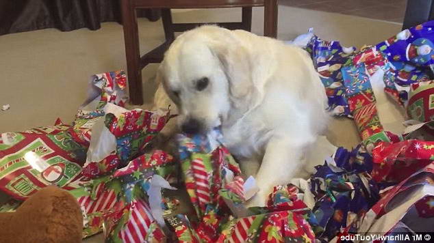 Golden Retriever Wrapping Paper