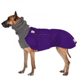 Great Dane Accessories