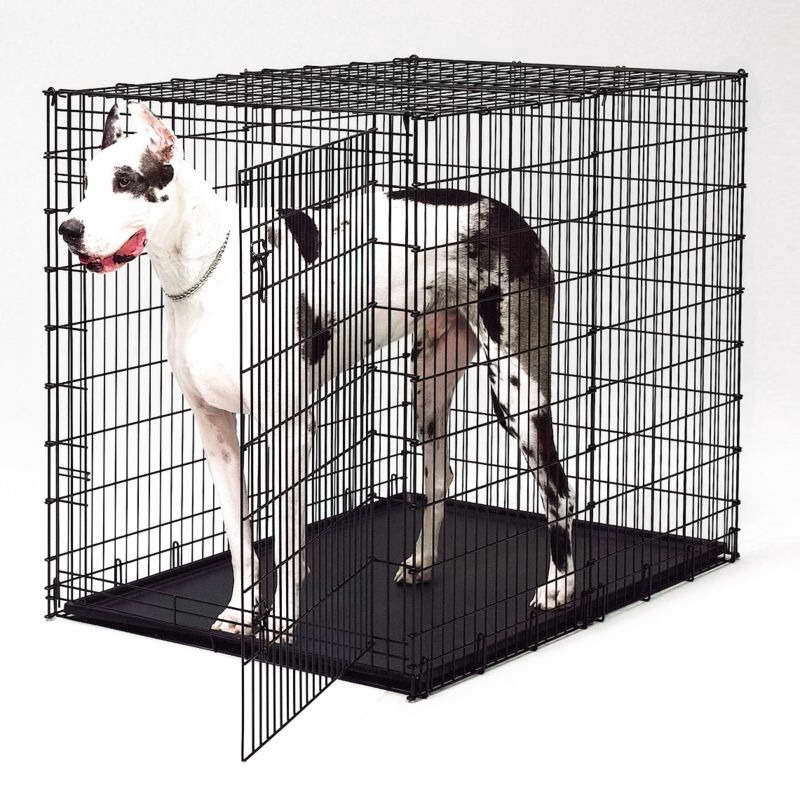 Great Dane Cage Size