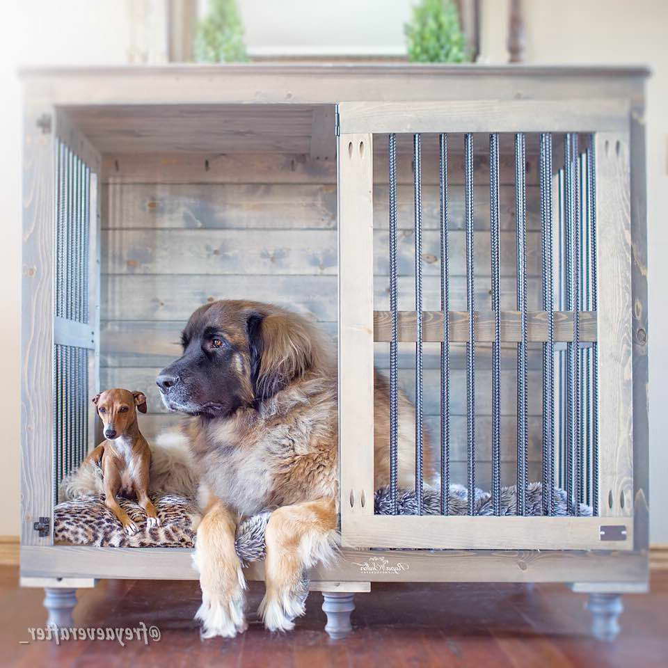 Great Dane Cages For Sale