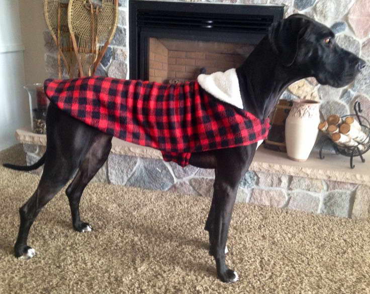 Great Dane Dog Coats