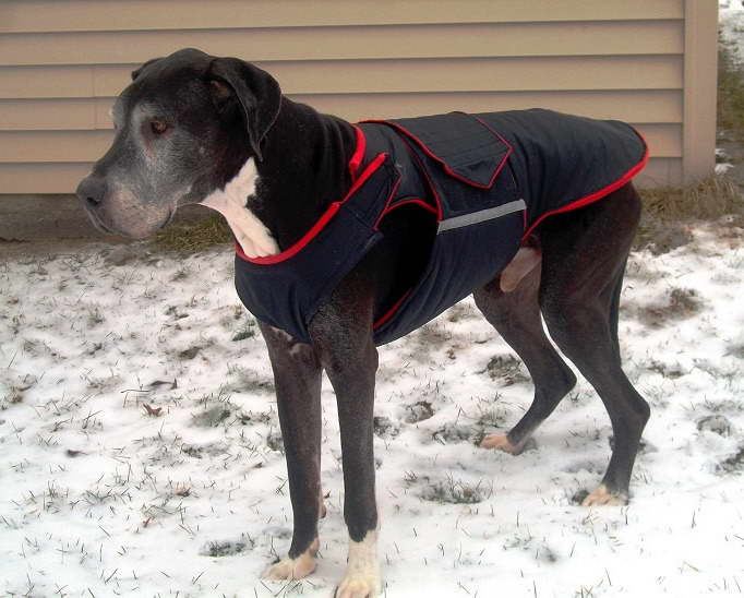 Great Dane Dog Jackets