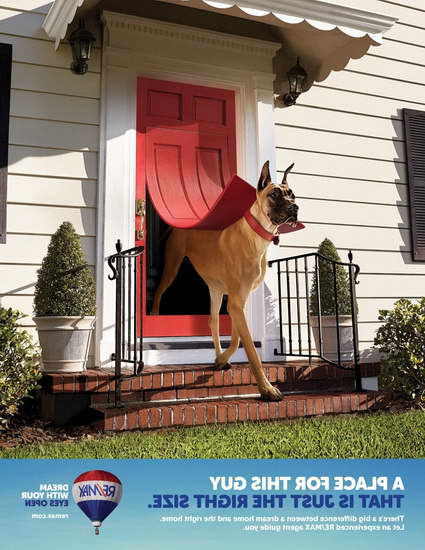 Great Dane Doggy Door