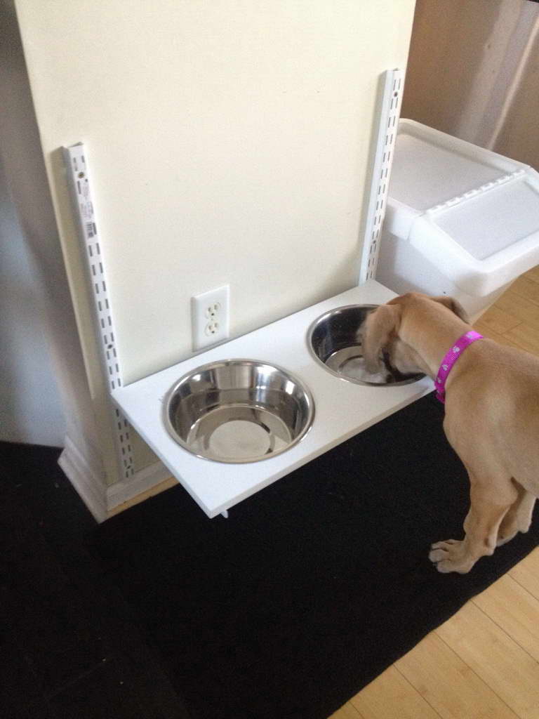 Great Dane Feeding Station