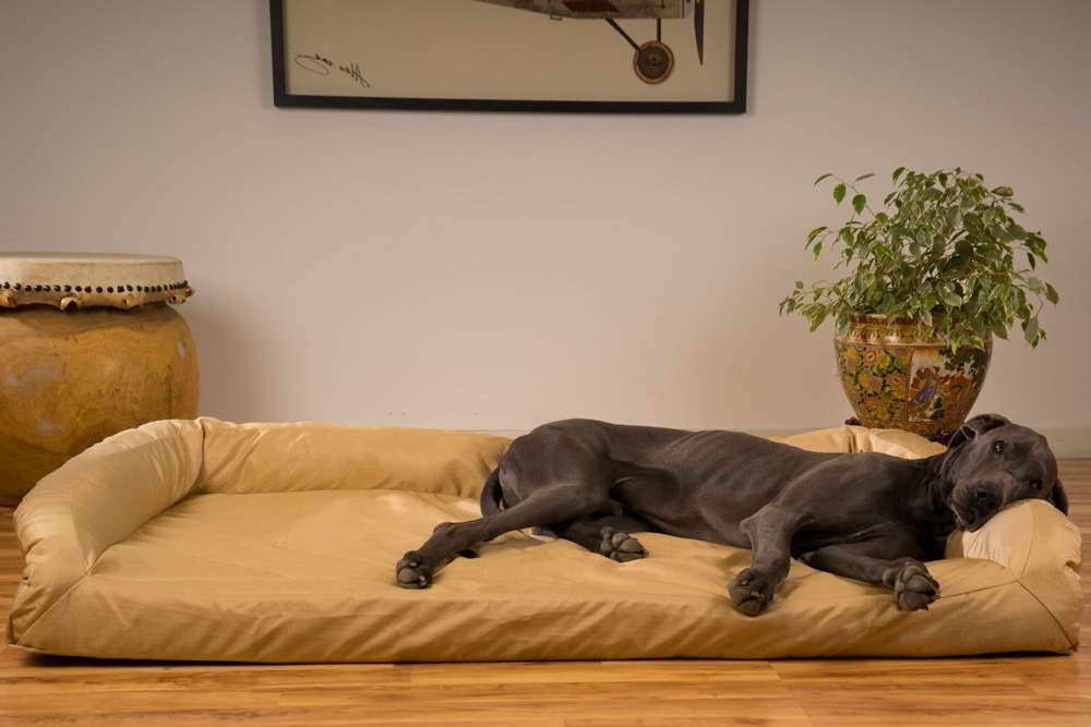Great Dane Orthopedic Dog Bed