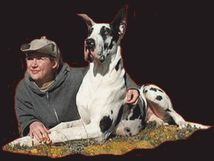 Great Dane Rescue Of El Paso