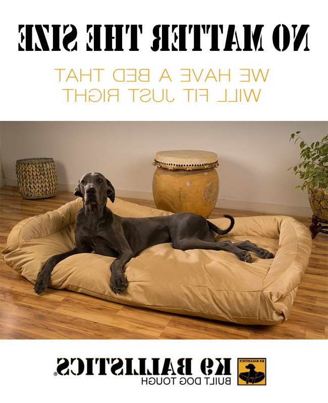 Great Dane Size Dog Beds