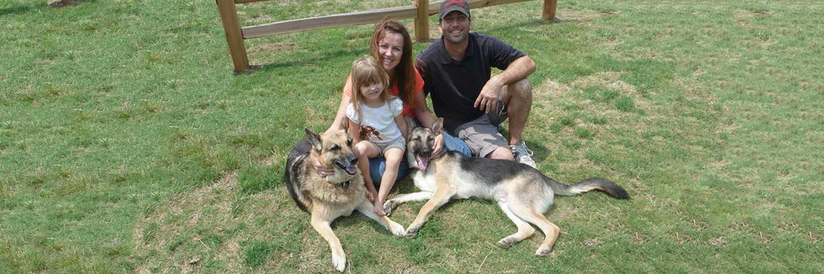 Greater Houston German Shepherd Dog Rescue