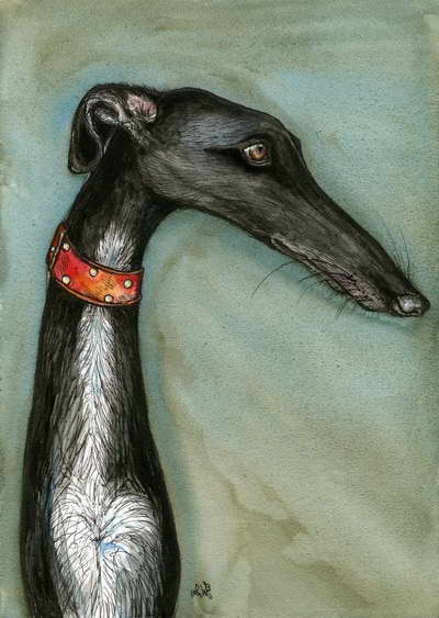 Greyhound Dog Artwork