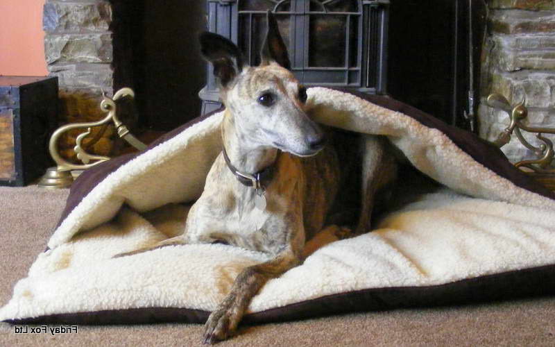 Greyhound Dog Beds