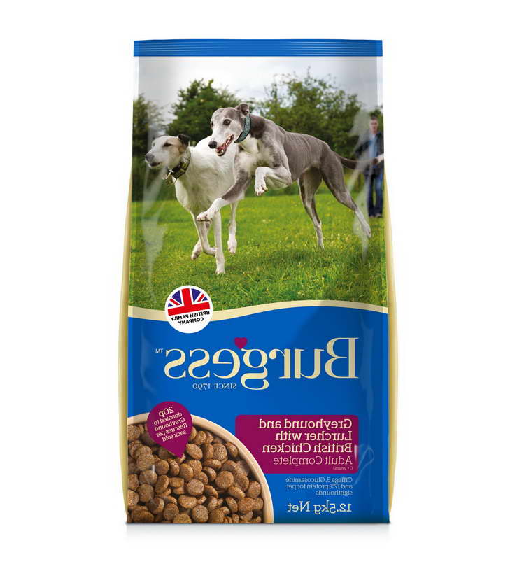 Greyhound Dog Food